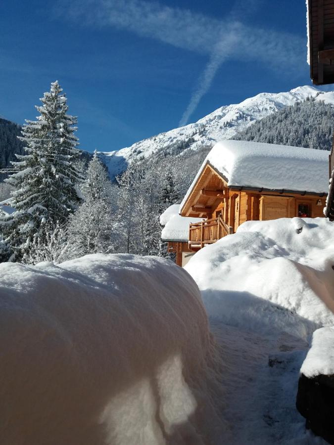 阿雷什Le Refuge Des Marmottes别墅 外观 照片